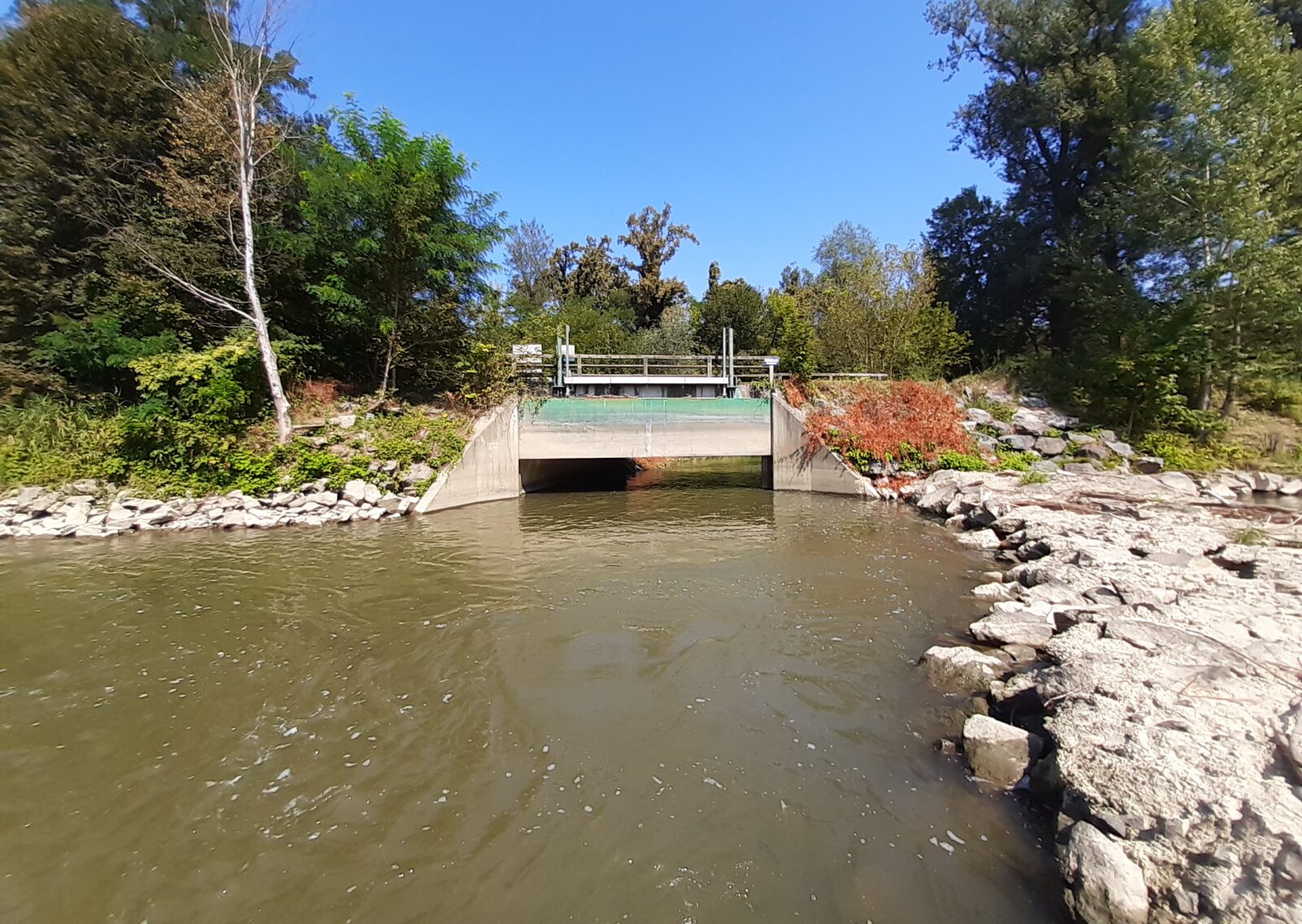 LIFE RESTORE FOR MDD